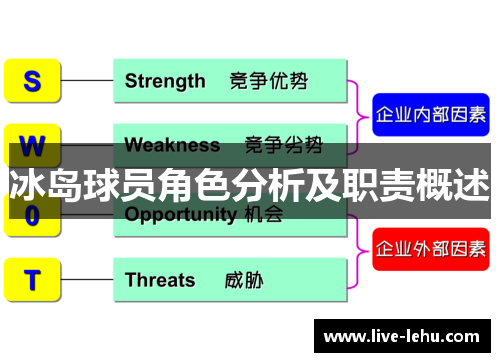 冰岛球员角色分析及职责概述