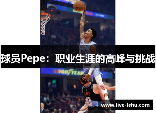 球员Pepe：职业生涯的高峰与挑战